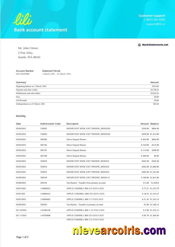 USA Lili bank statement Word